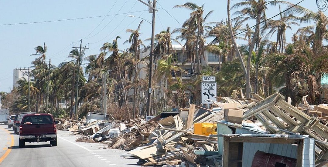 Roadside devastation from hurricane winds and rain with rubble under palm tree