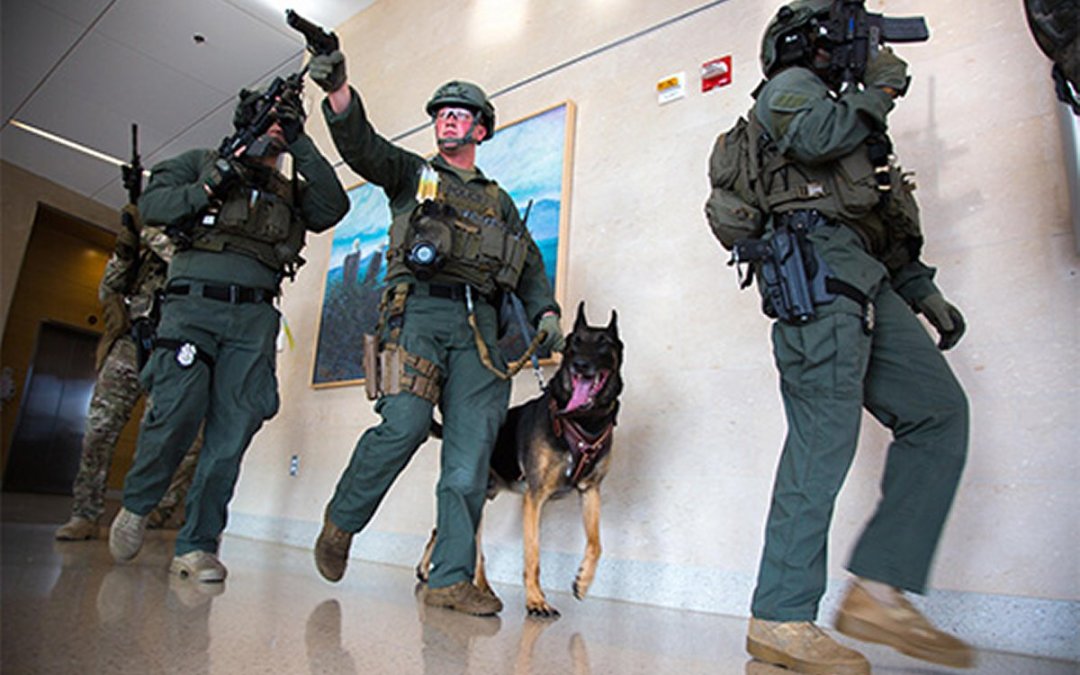 Military personnel practicing active shooter drills in full combat gear with guns and K-9 unit